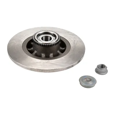 Rear brake disc with bearing NTN-SNR
