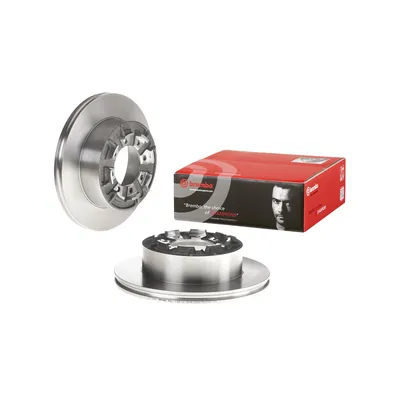 Rear brake discs full Brembo