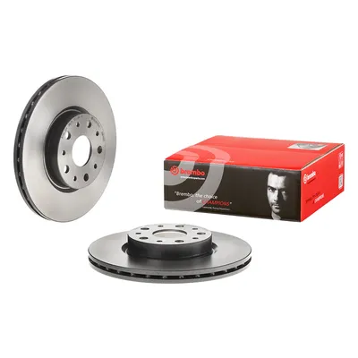 Rear brake disc