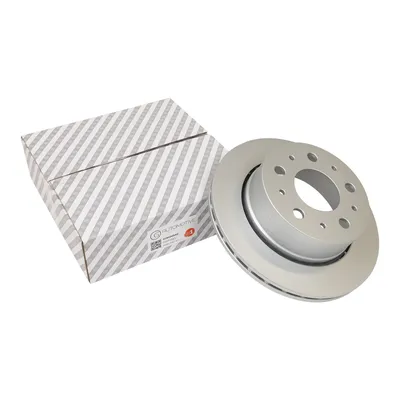 Rear brake disc ventilated 300 D=22 mm