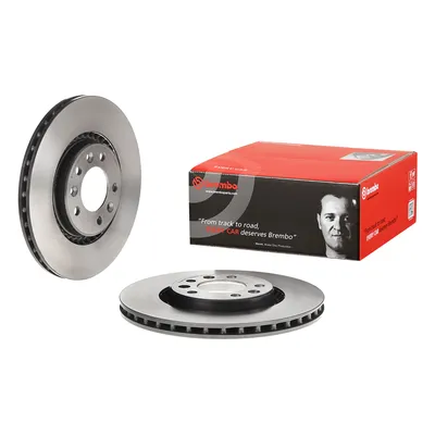 Rear brake disc Brembo