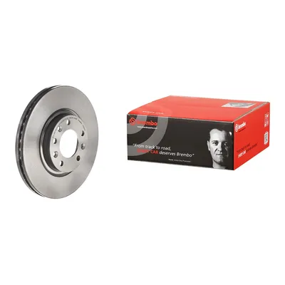 Brembo front brake disc