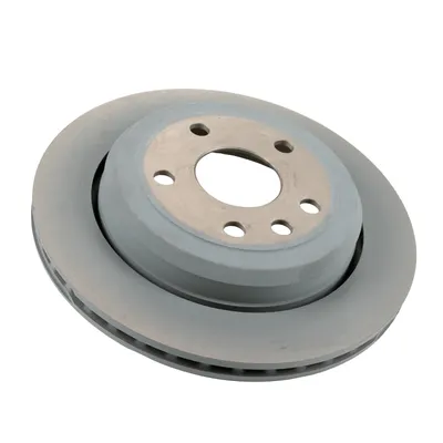 Rear brake disc original