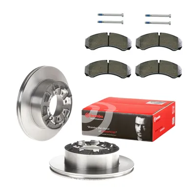 Brake disc set with pads rear