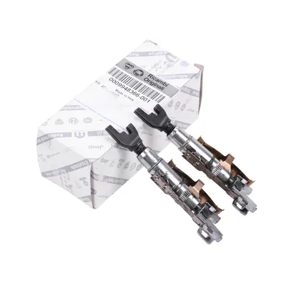 Adjuster kit brake rear right & left (2 pieces)