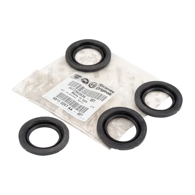 Spring kit (repair kit) for the front brake caliper