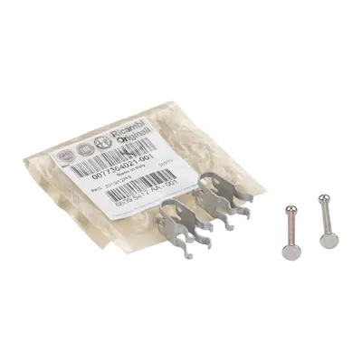 Mounting bolts with retaining springs for drum brake