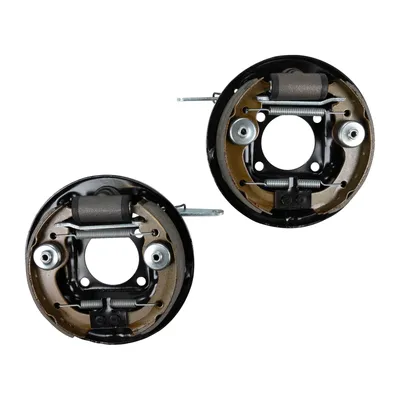 Rear brake kit pre-mounted on anchor plate