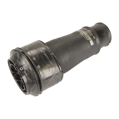 Bellows air suspension spring rear