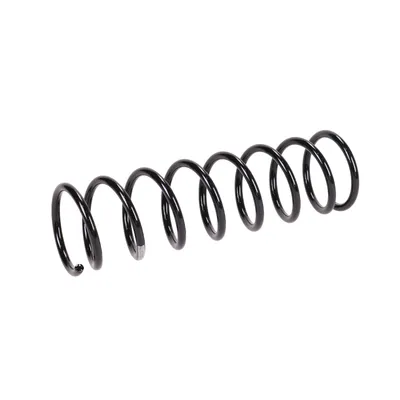 Front suspension spring