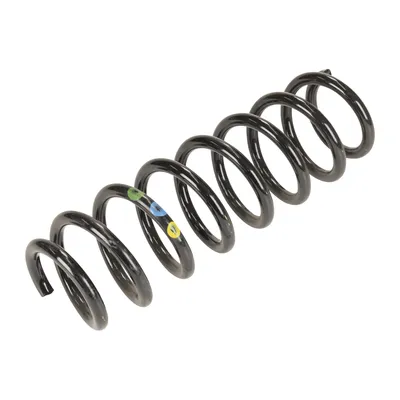 Rear suspension spring