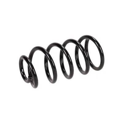 Rear suspension spring