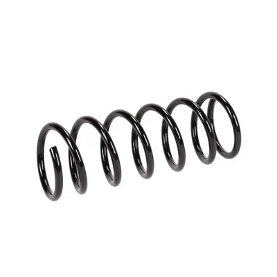 Rear suspension spring