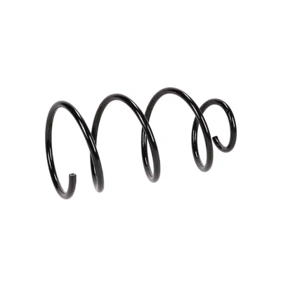 Front suspension spring
