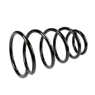 Front suspension spring