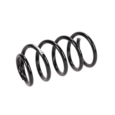 Rear suspension spring