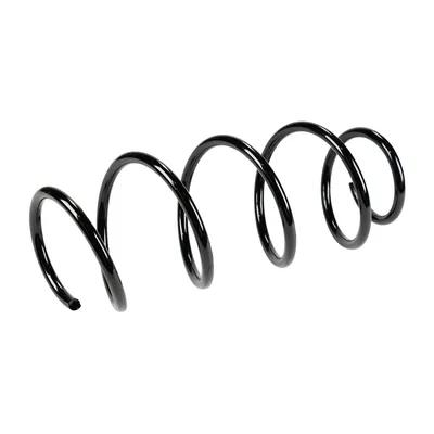 Front suspension spring