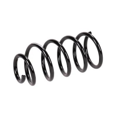 Rear suspension spring