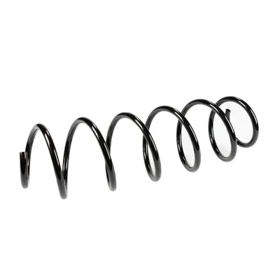 Front suspension spring