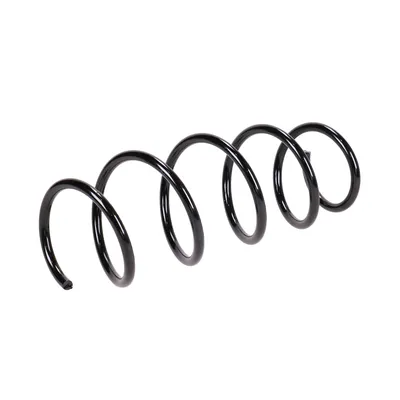 Front suspension spring