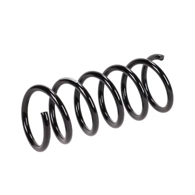 Rear suspension spring