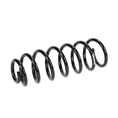 Rear suspension spring