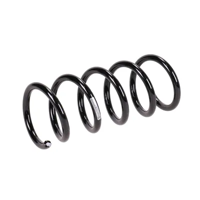 Rear suspension spring