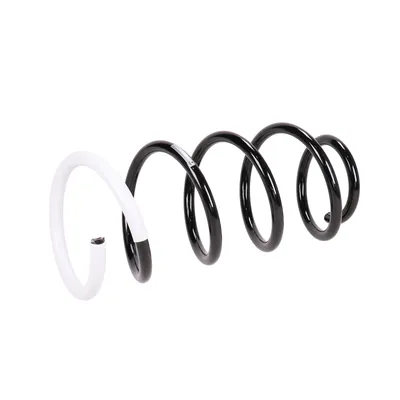 Front suspension spring