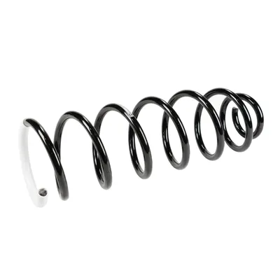 Rear suspension spring