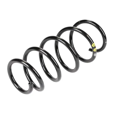 Front suspension spring
