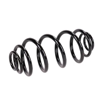 Rear suspension spring
