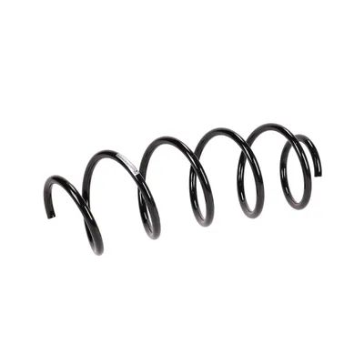 Front suspension spring