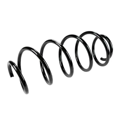 Front suspension spring