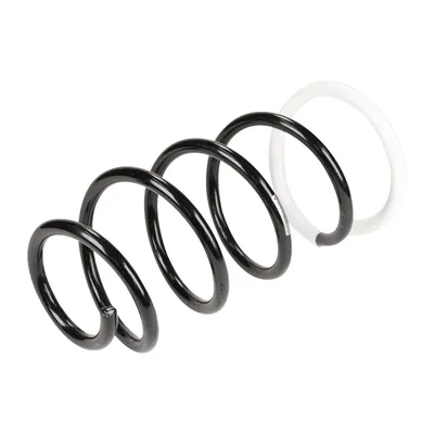 Front suspension spring
