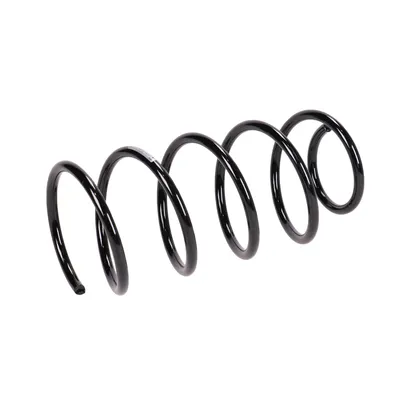 Rear suspension spring