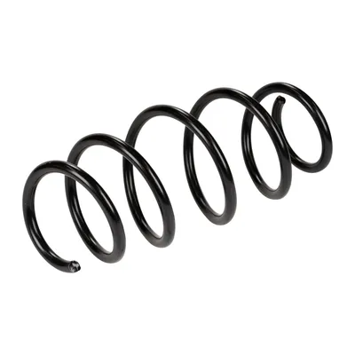 Front suspension spring