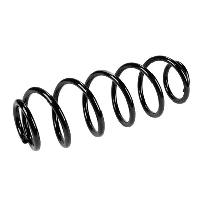 Rear suspension spring