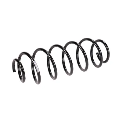 Rear suspension spring