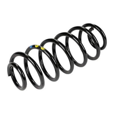 Spring rear