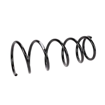 Front suspension spring
