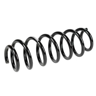 Coil spring rear