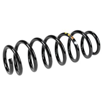 Coil spring rear