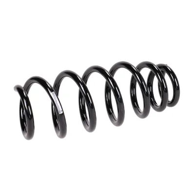 Front suspension spring