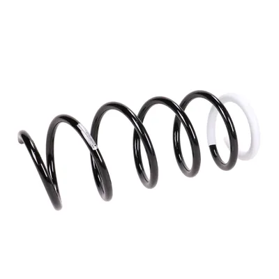 Front suspension spring