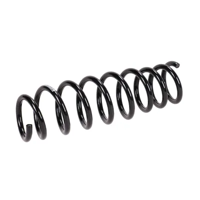 Rear suspension spring