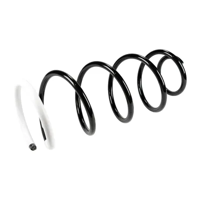 Front suspension spring