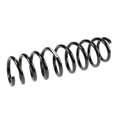 Rear suspension spring