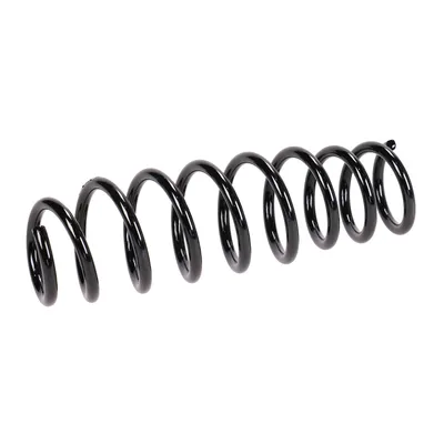 Rear suspension spring