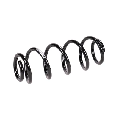 Rear suspension spring