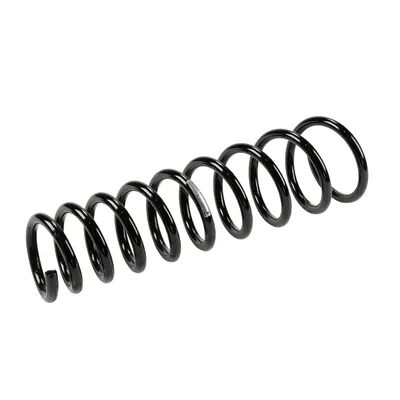 Front suspension spring